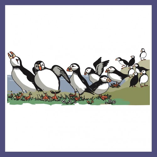 Illustration of A circus of puffins