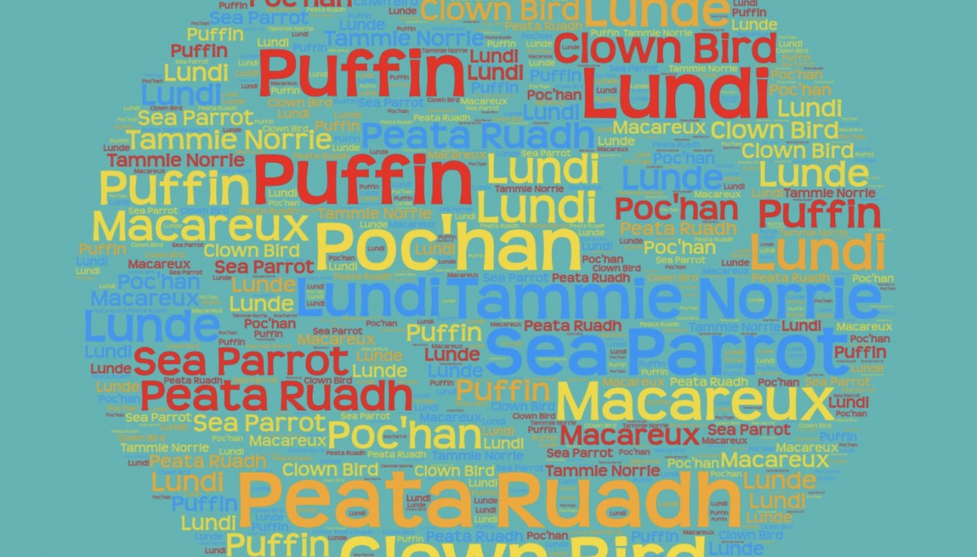 Other names for Puffins